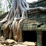 Le Ta Prohm.(2)