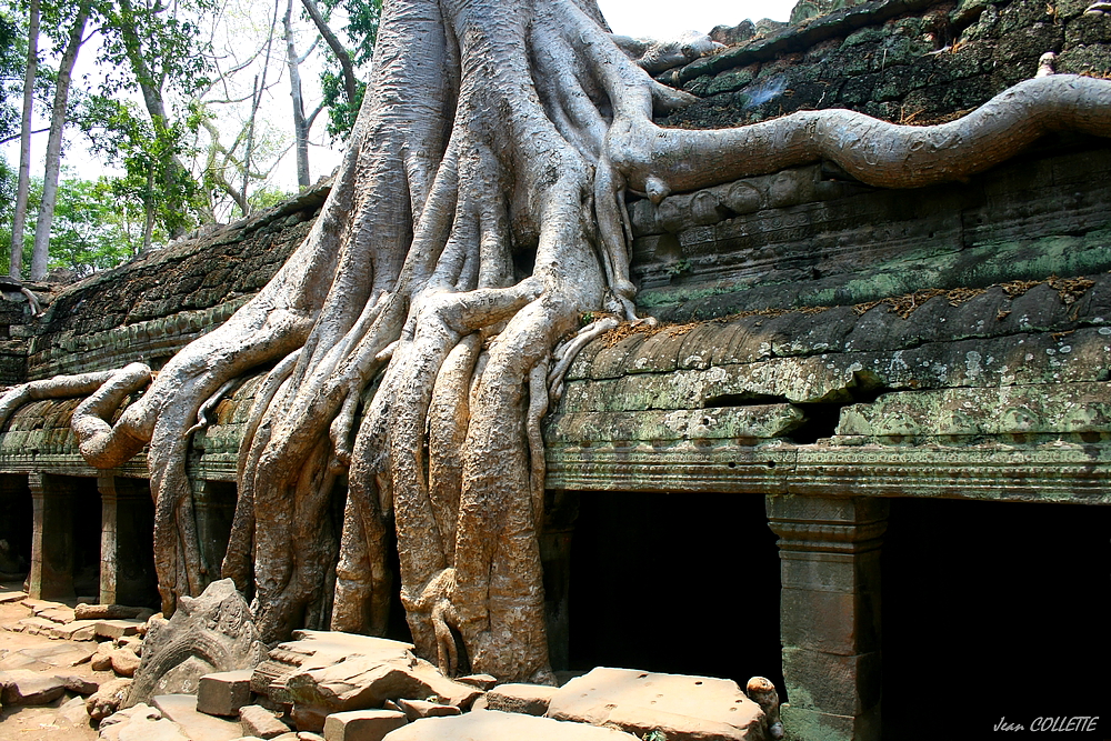 Le Ta Prohm.(2)