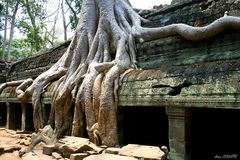 Le Ta Prohm.(2)