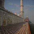 Le Taj Mahal, District d'Agra, Uttar Pradesh