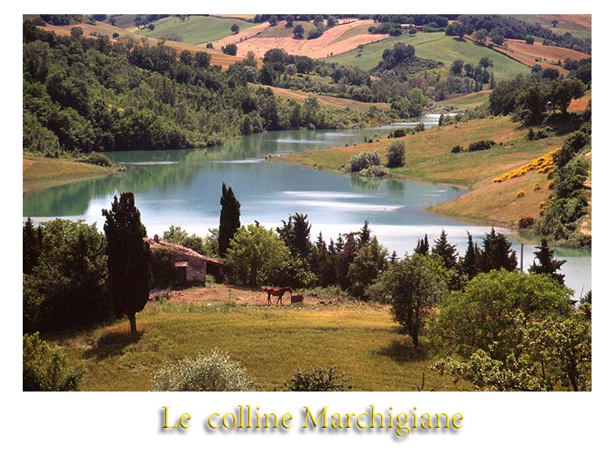 Le tanto amate colline Marchigiane