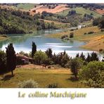 Le tanto amate colline Marchigiane