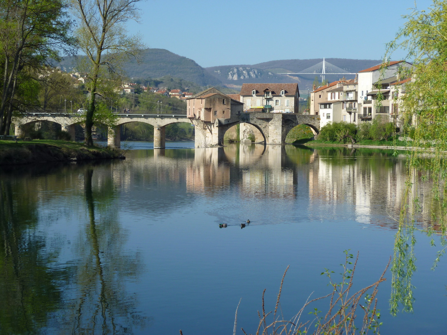 le Tarn à Millau