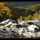 le Tarn en automne