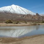 LE TEIDE à LLANO DE UCANCA à TENERIFE