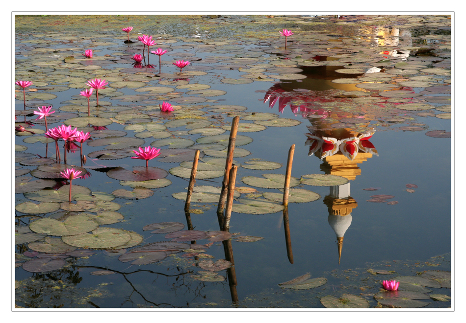 Le temple du lotus.