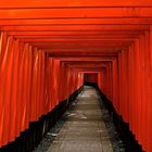 Le temple du renard. Kyoto.