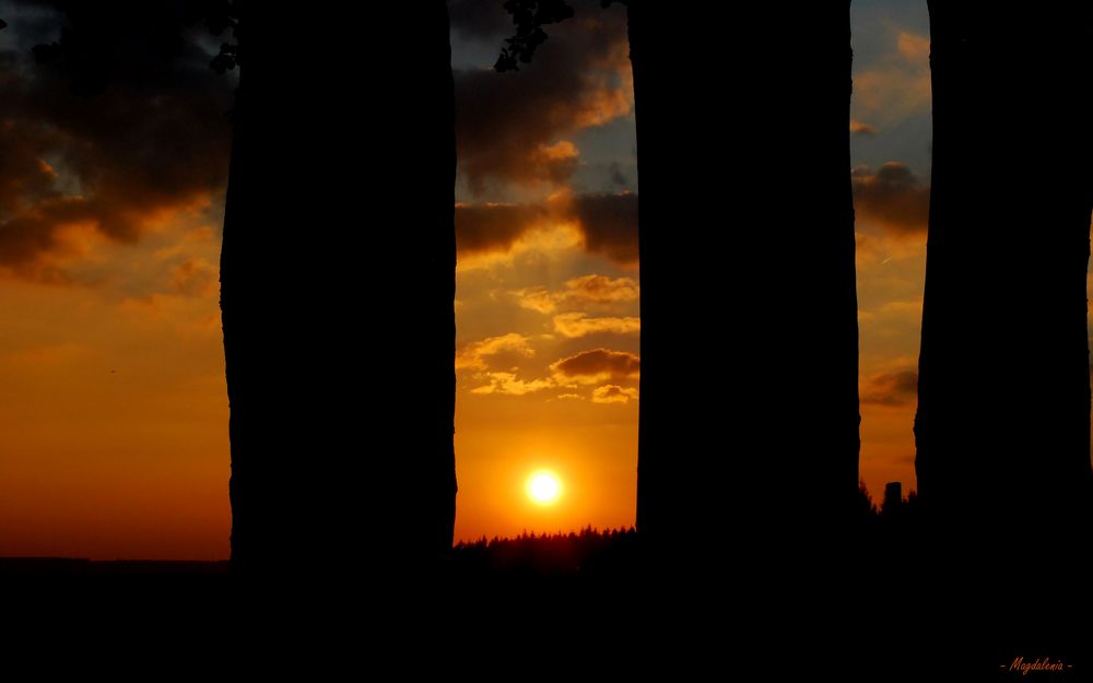 Le temple du soleil