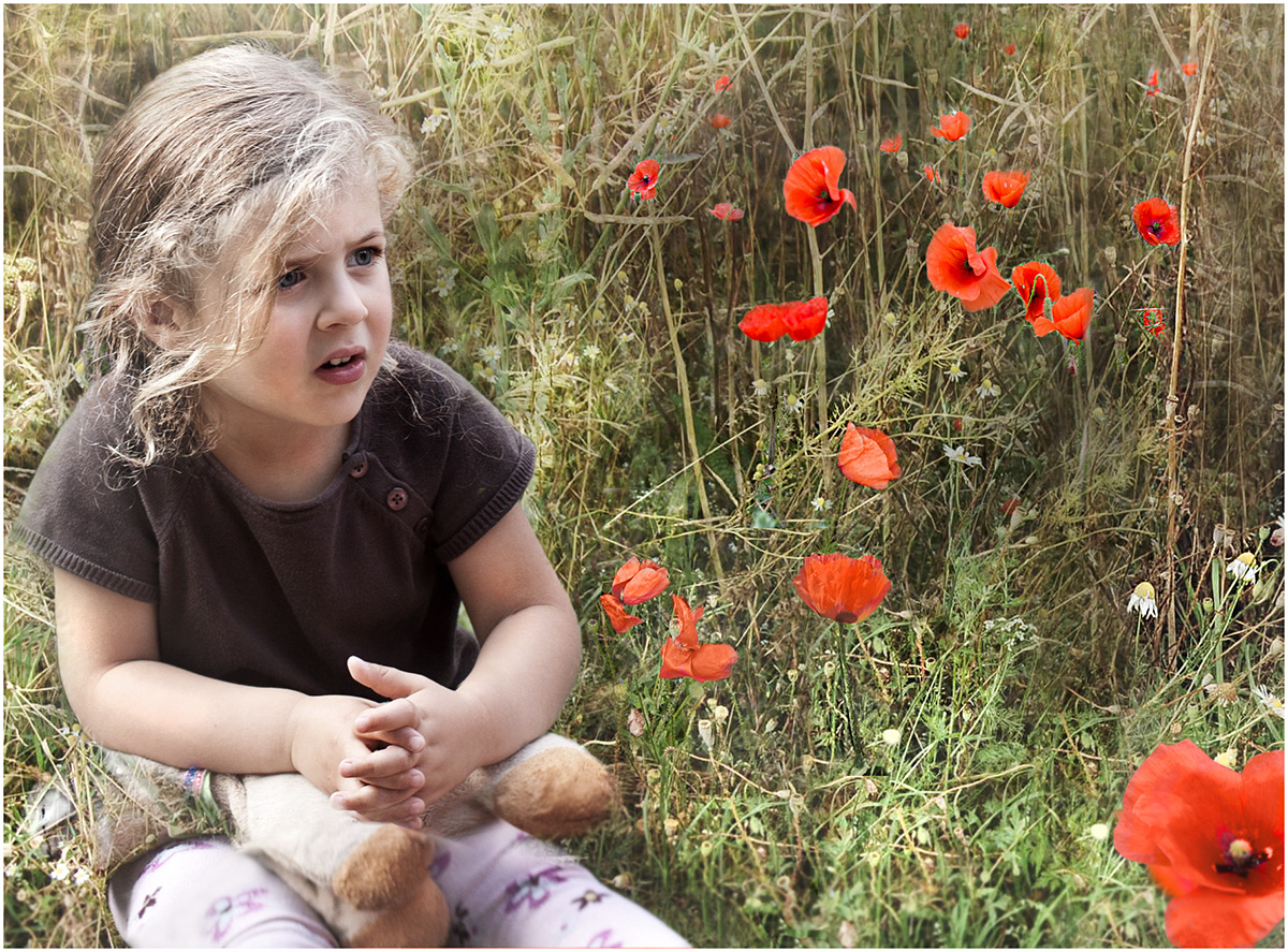 Le temps de coquelicots 