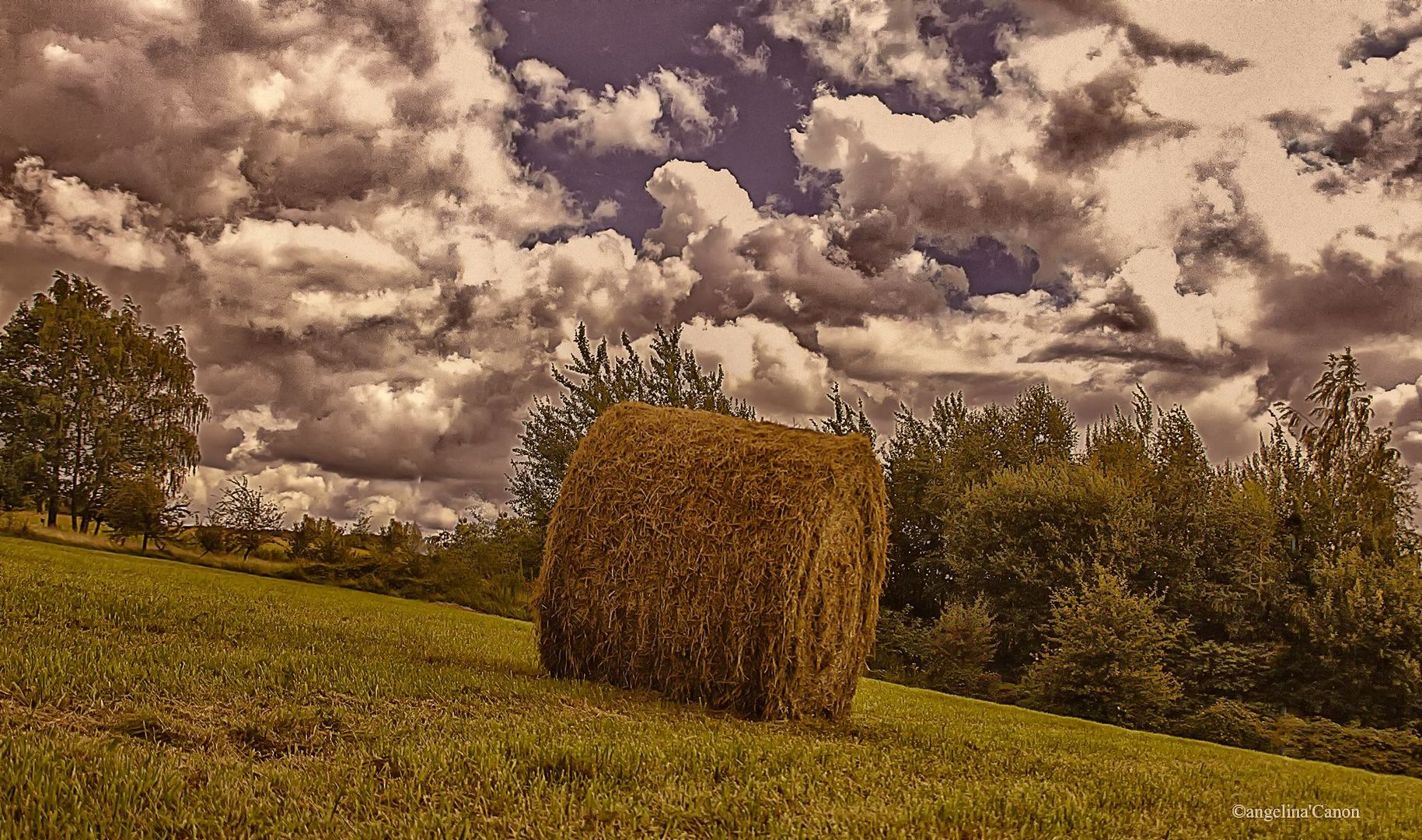 Le temps de la moisson ...