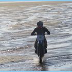 .....Le temps de quelques instants, un intrus sur la plage...e..