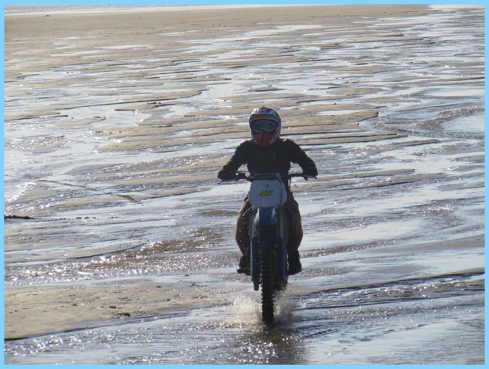 .....Le temps de quelques instants, un intrus sur la plage...e..