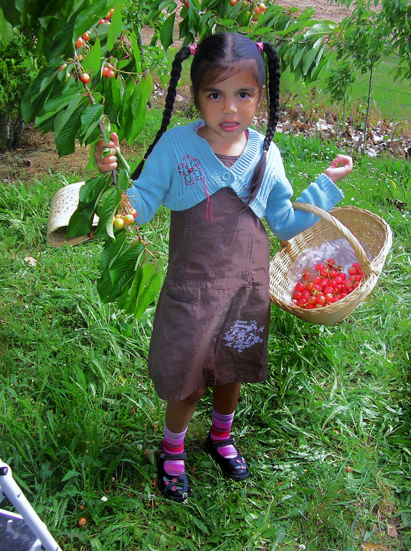 Le temps des cerises