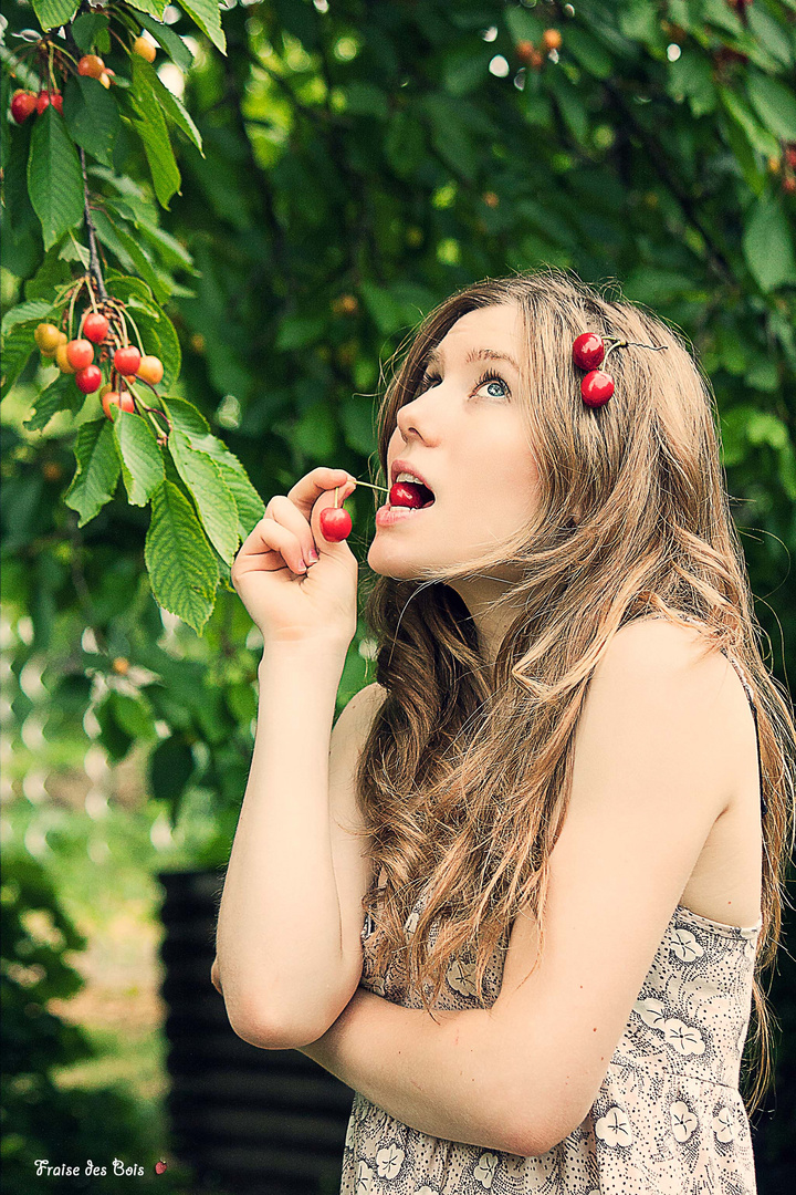 Le temps des cerises