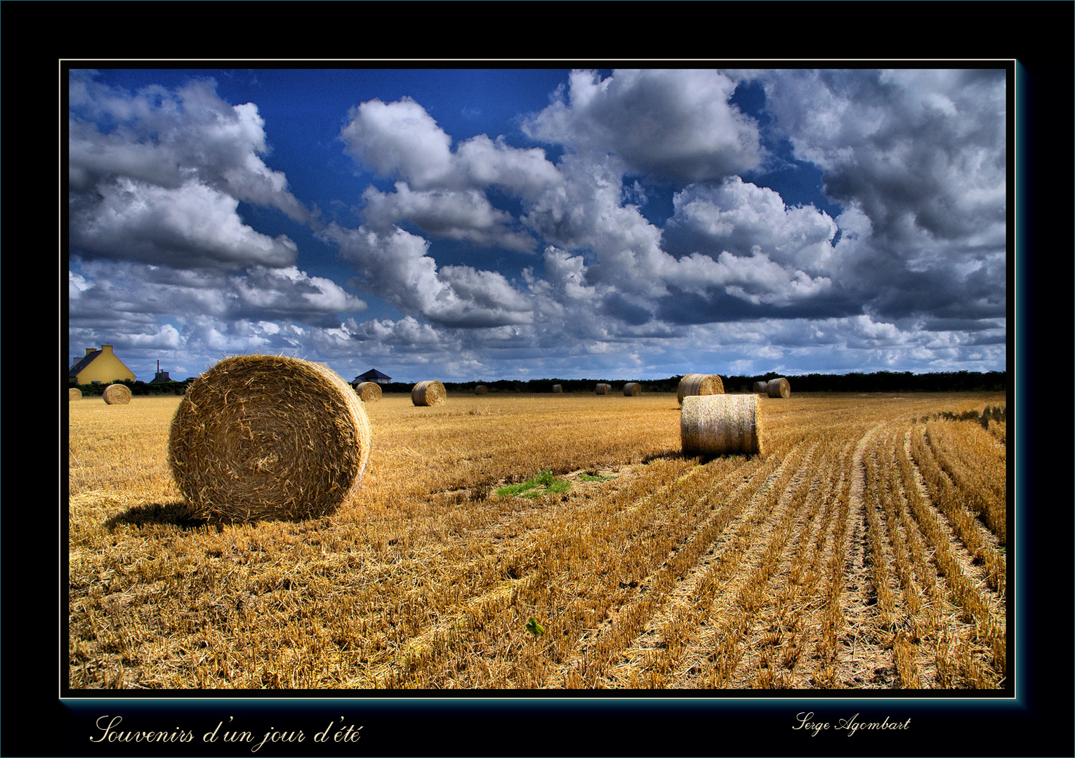 Le temps des moissons