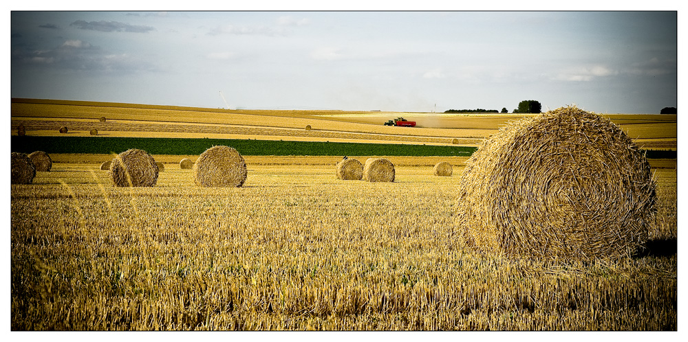 Le temps des moissons...