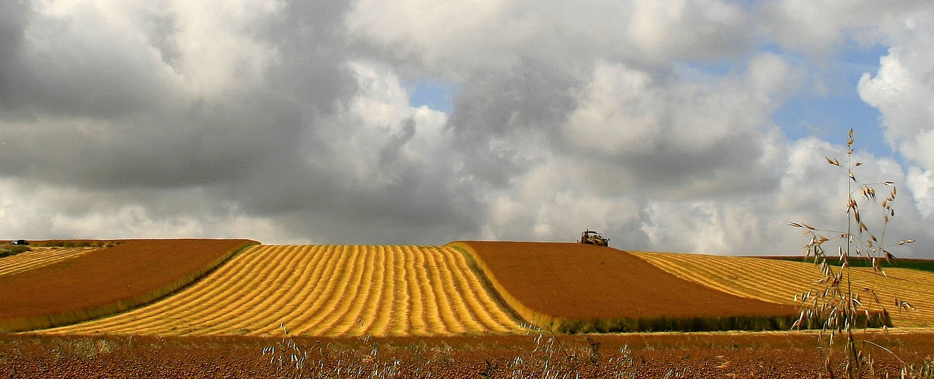 Le temps des moissons