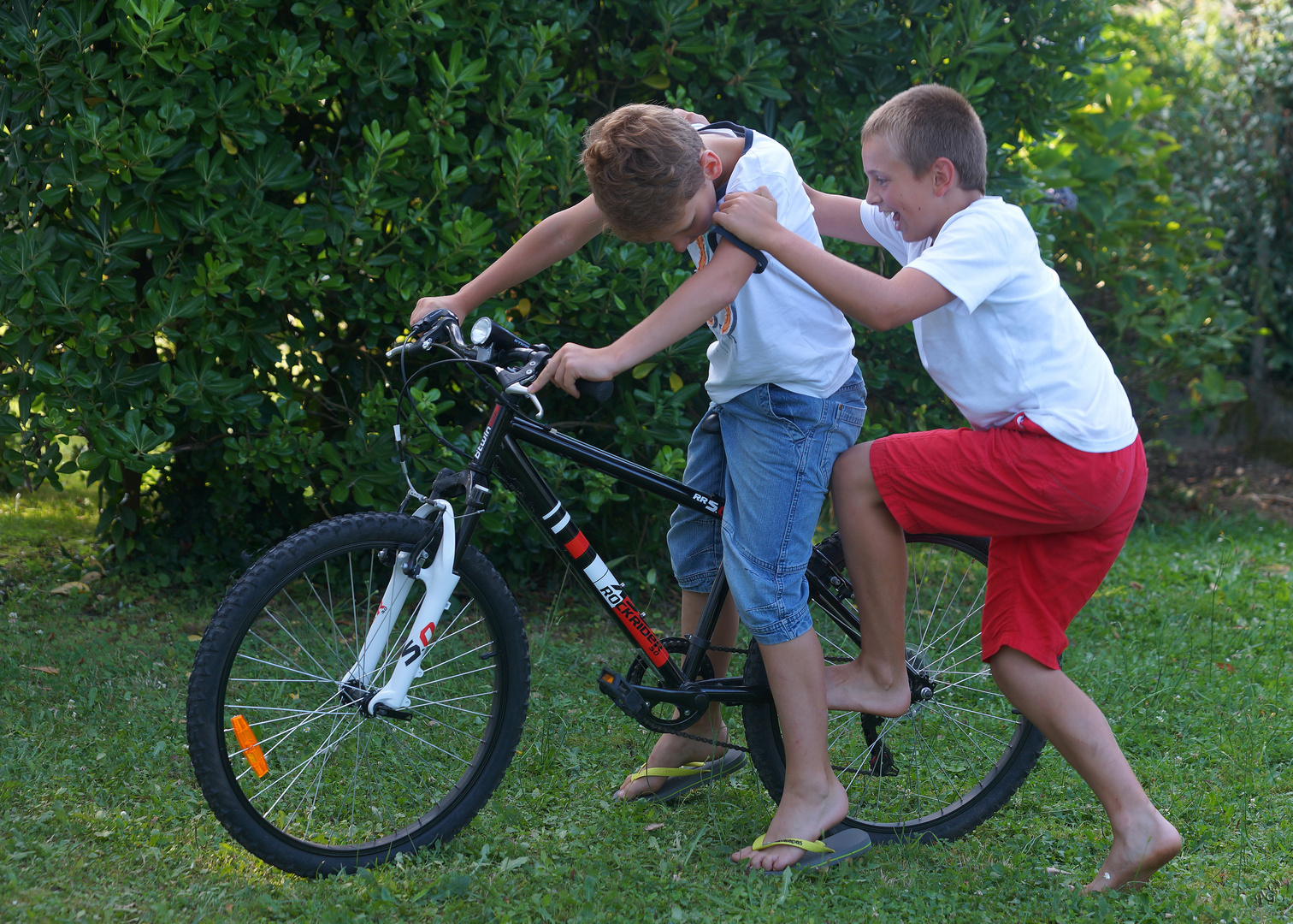 le temps des vacances et de l'insouciance....