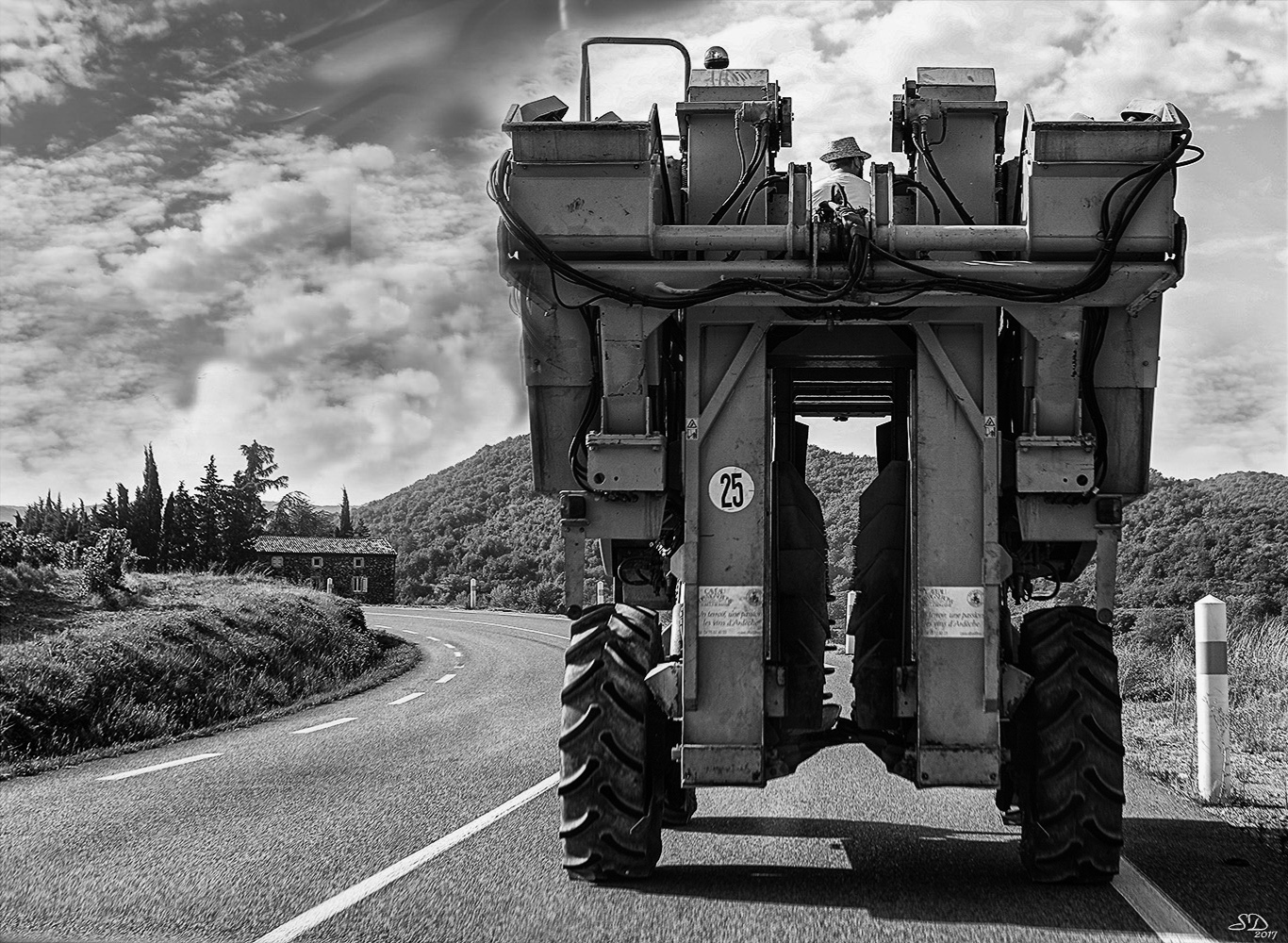 Le temps des vendanges 