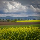 Le temps du jaune...