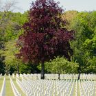 le temps du repos