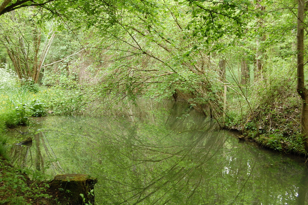 le temps du vert