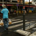 Le temps d'une balade....dans Fort de France....