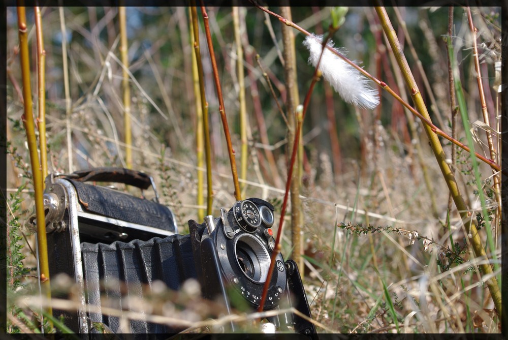 le temps d'une photo...