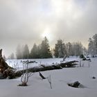 le tombé au matin - Der Gefallene am Morgen