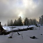 le tombé au matin mystique - Der Gefallene im mystischen Licht