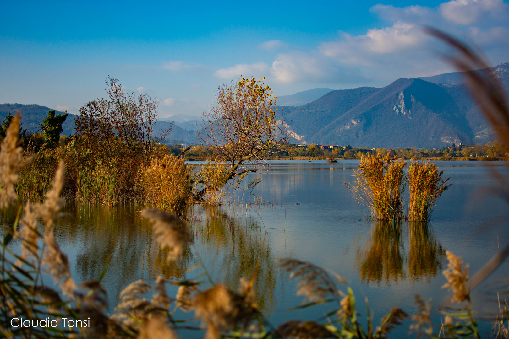 le torbiere di Iseo