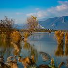 le torbiere di Iseo