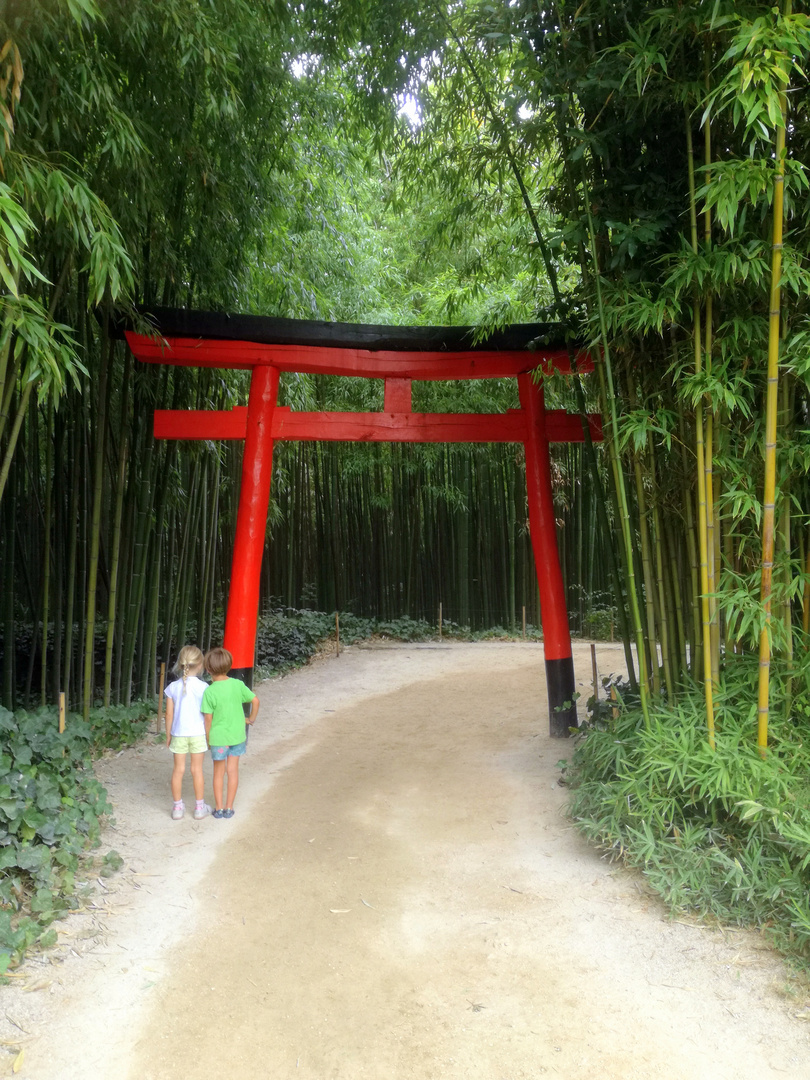 Le Torii (ou entrée du jardin japonais)