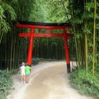 Le Torii (ou entrée du jardin japonais)
