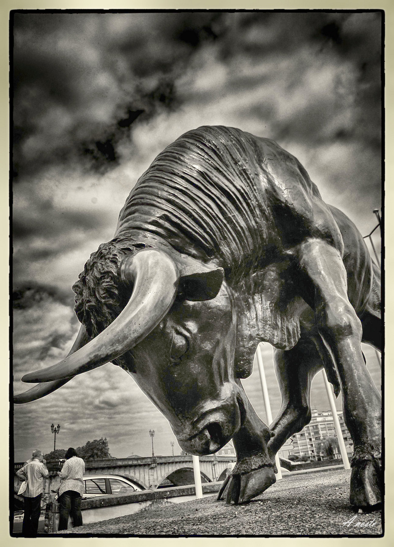 le toro de Dax