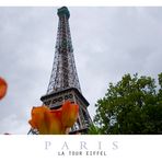 le tour eiffel