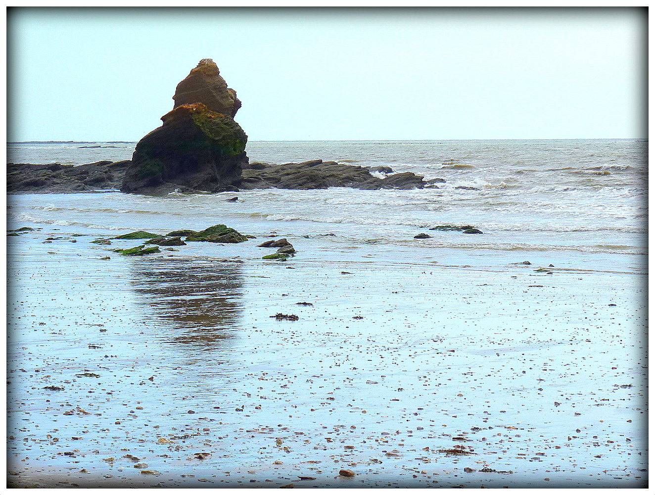 LE TOUTOU GARDIEN de la plage .