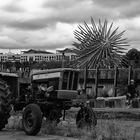 Le tracteur, le hérisson et ... l'homme !