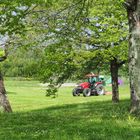 Le tracteur rouge  -  Entretien au parc de Gauge à Condom