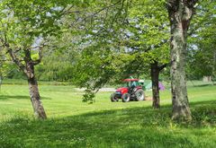 Le tracteur rouge  -  Entretien au parc de Gauge à Condom