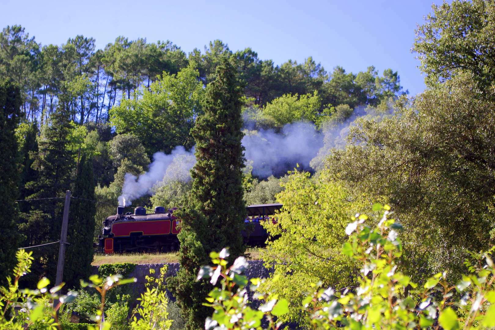 Le Train à vapeur des Cévennes ....
