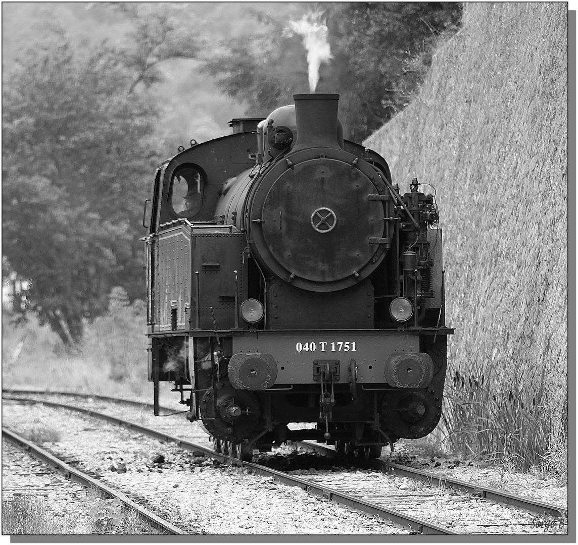 Le train des Cévennes