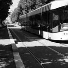 Le tram