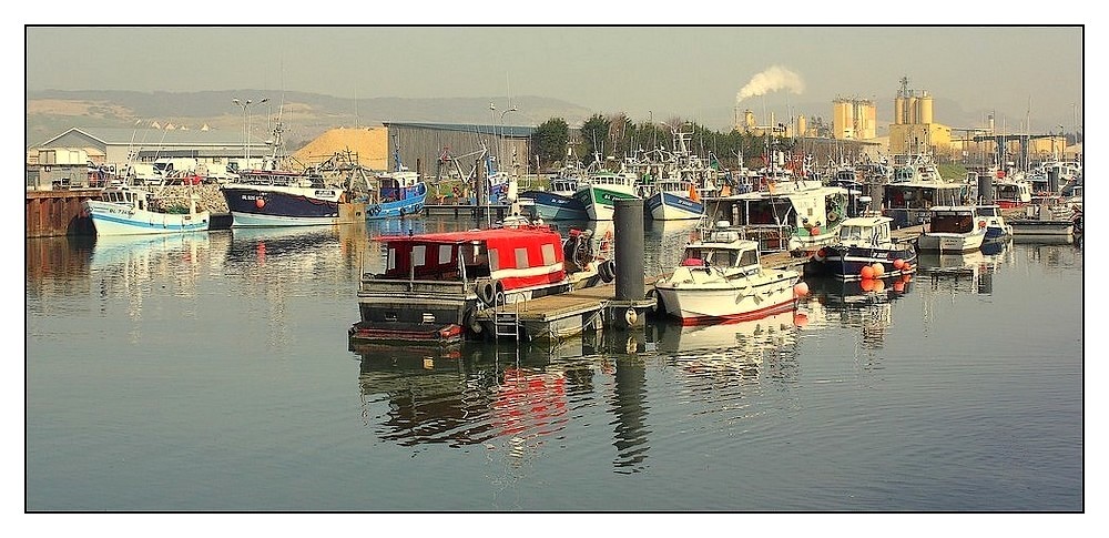 Le Tréport Port et zone portuaire