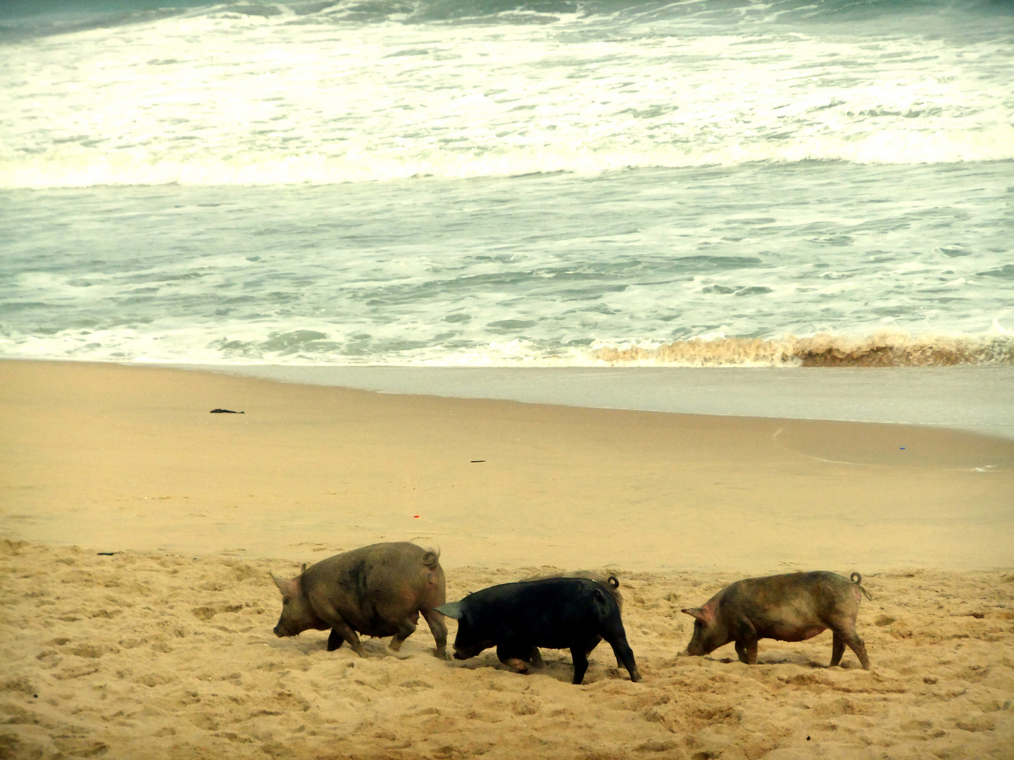 Le trio de la plage