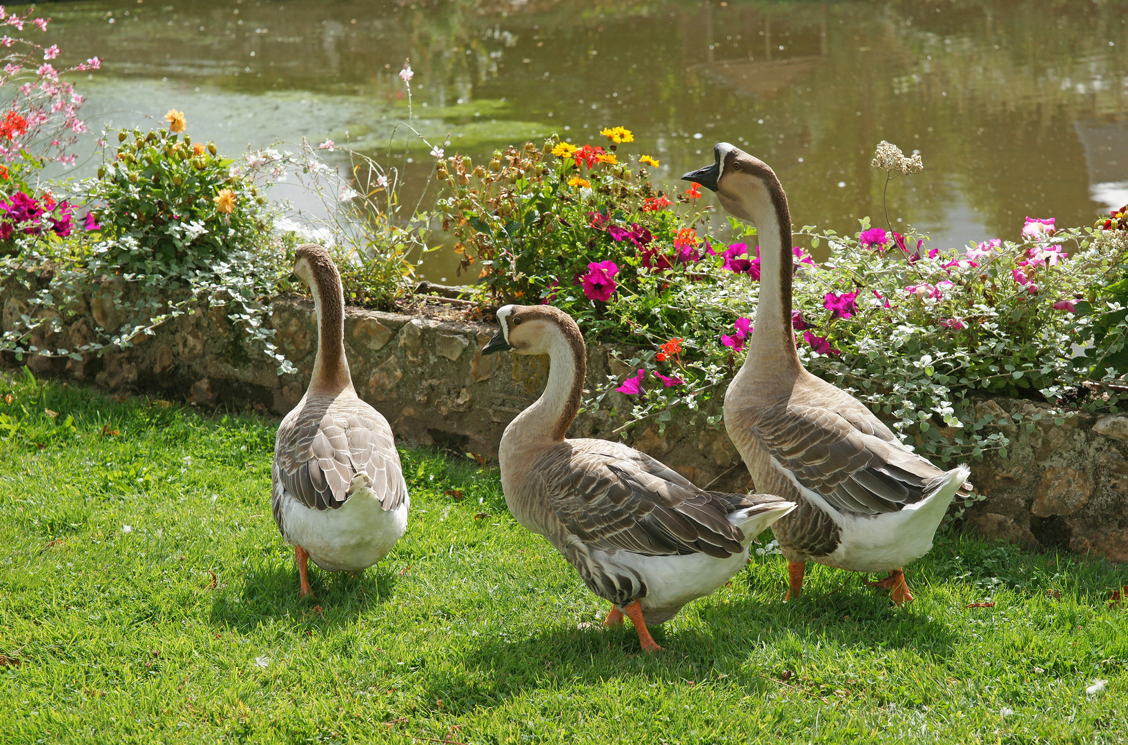 le trio en balade...