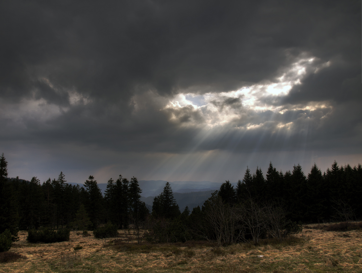 le trou au printemps - Das Schlüsselloch zum Frühling