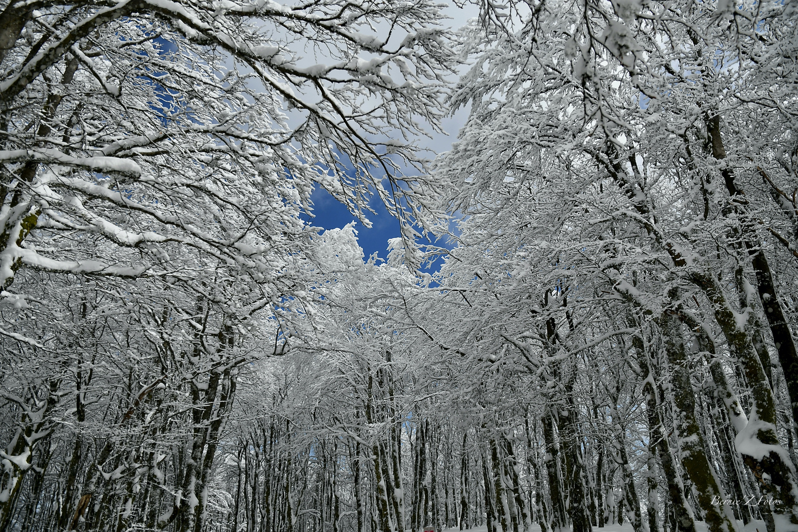 Le trou bleu