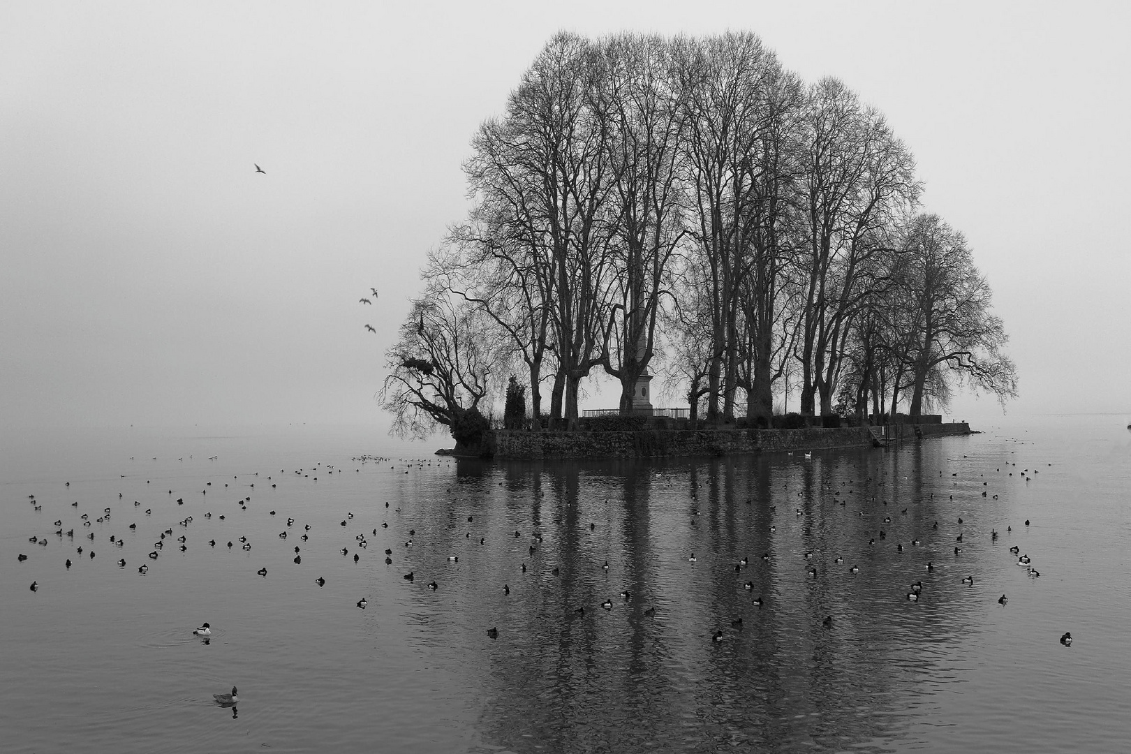 "Le vaisseau fantôme"