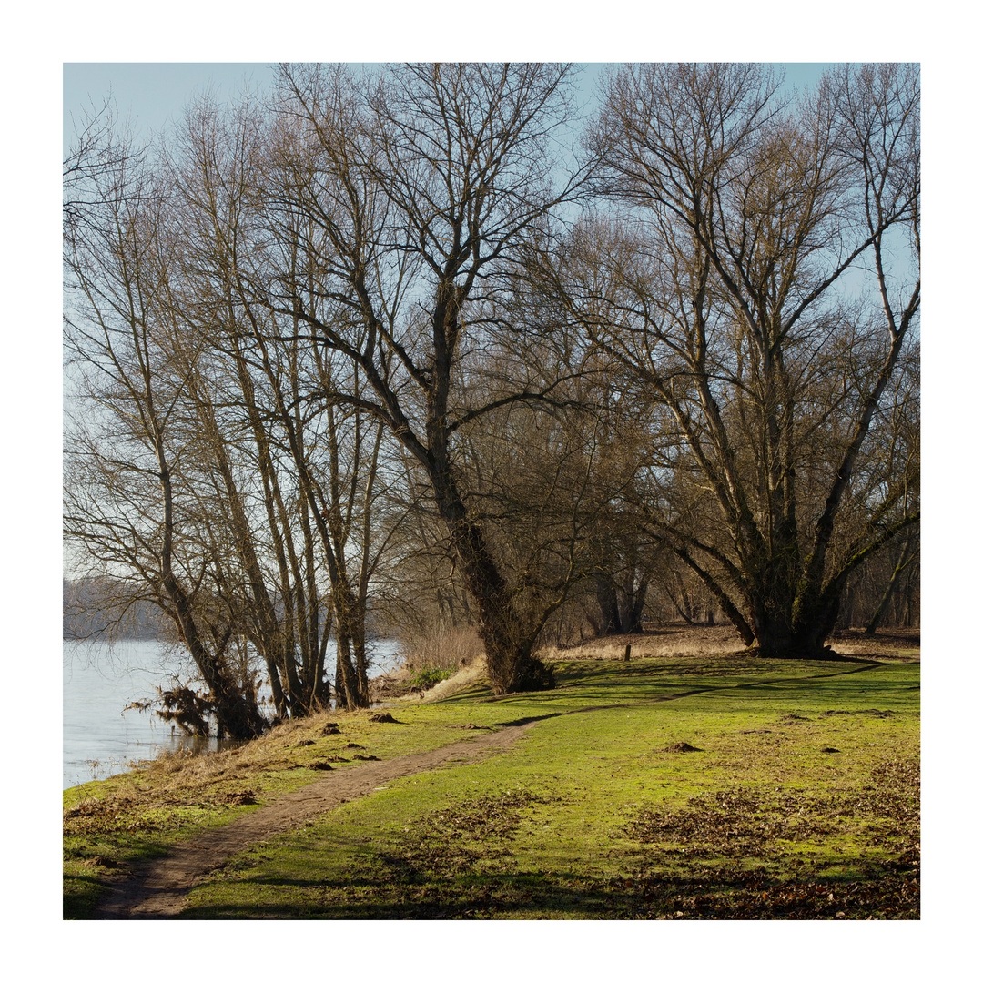 Le val de Saint Ay dans l'attente du printemps